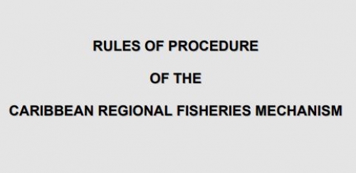 Rules of Procedure
