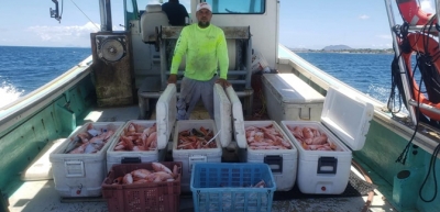 Photo courtesy CNFO - Fisher in Saint Kitts and Nevis